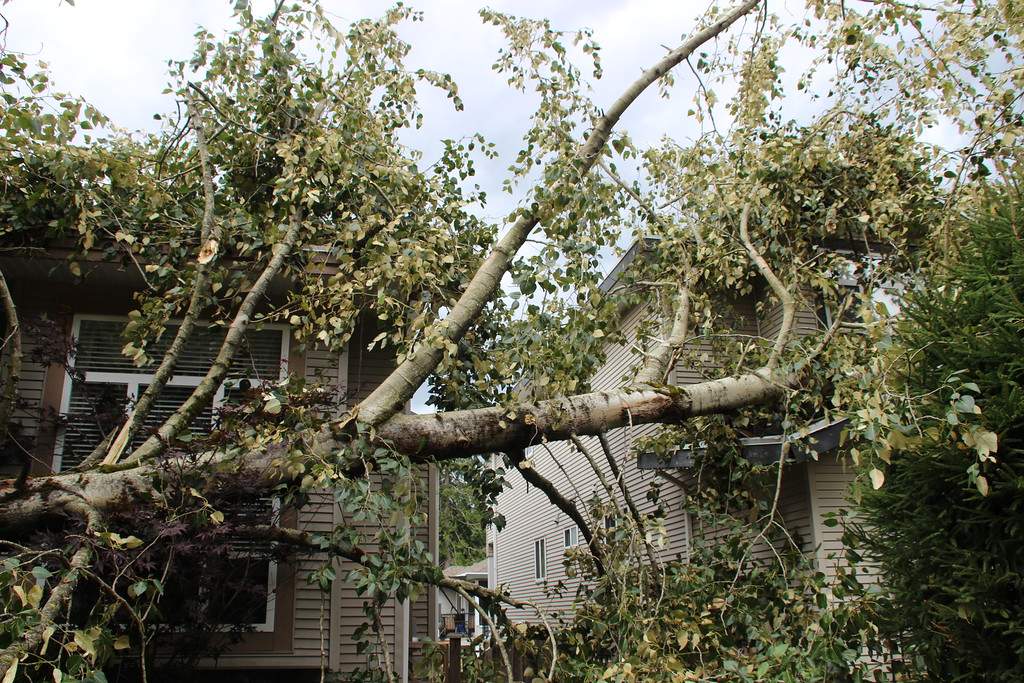 PHOTOS: Largest South Coast storm in a decade causes mass power outages - image