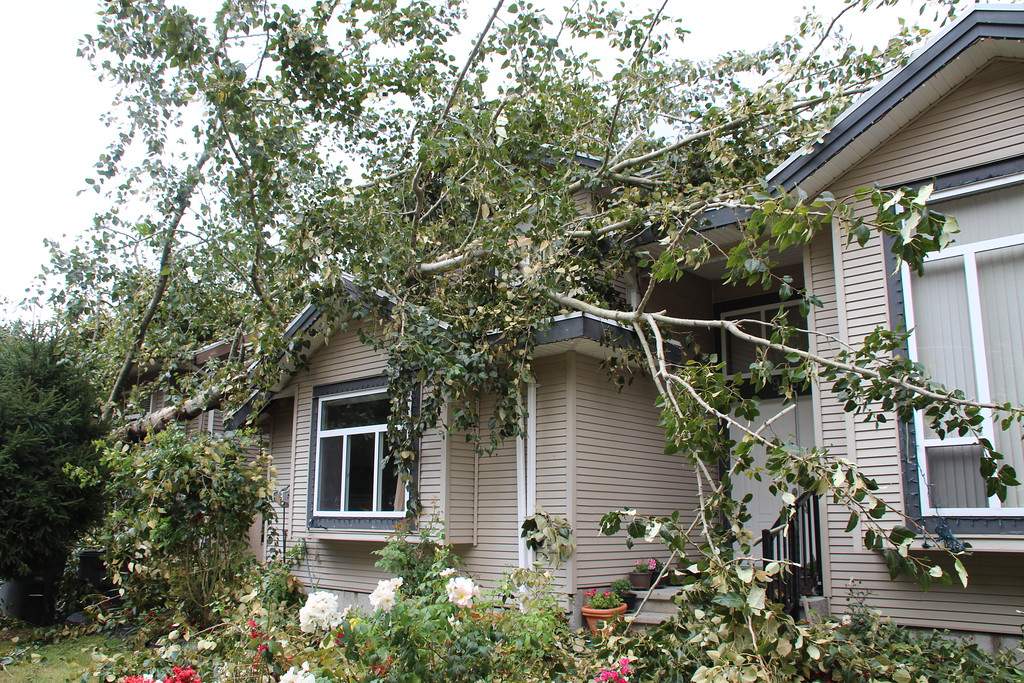 PHOTOS: Largest South Coast storm in a decade causes mass power outages - image