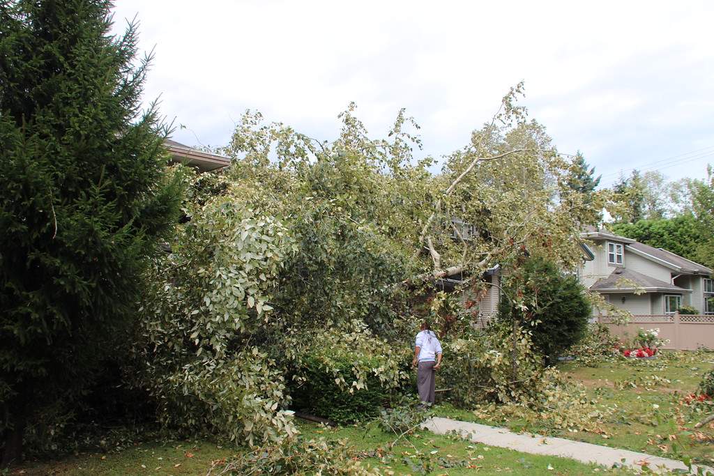 PHOTOS: Largest South Coast storm in a decade causes mass power outages - image