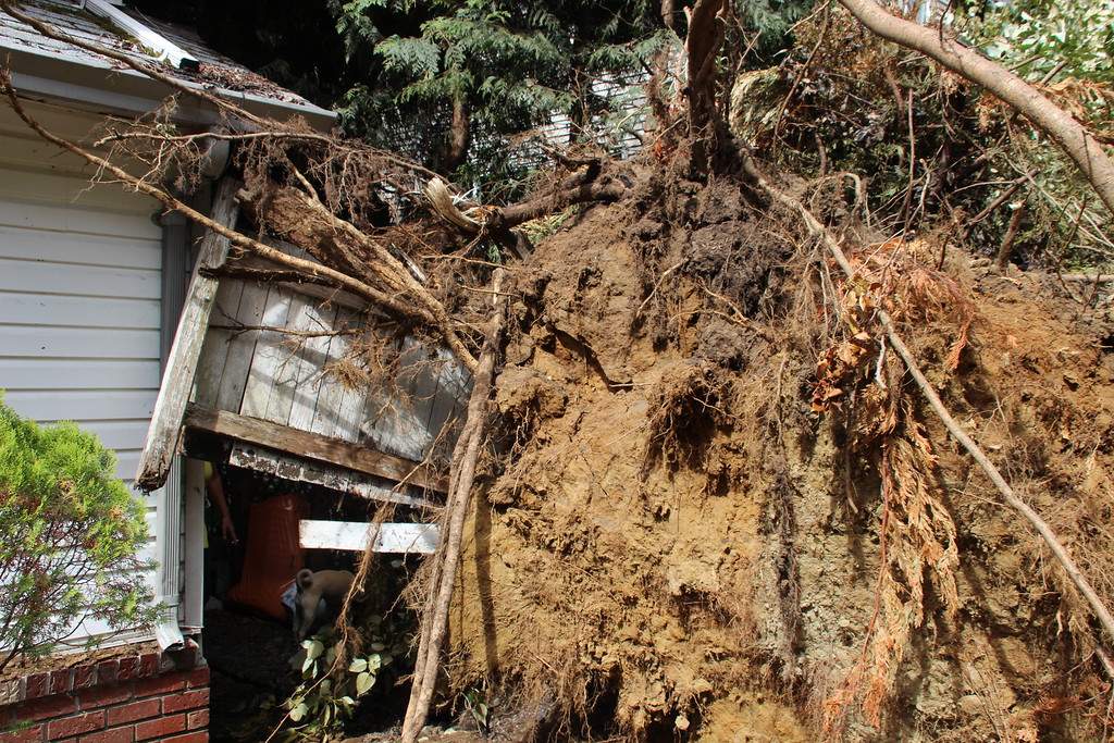 PHOTOS: Largest South Coast storm in a decade causes mass power outages - image