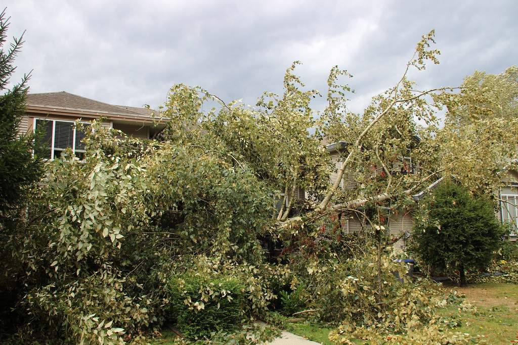 PHOTOS: Largest South Coast storm in a decade causes mass power outages - image