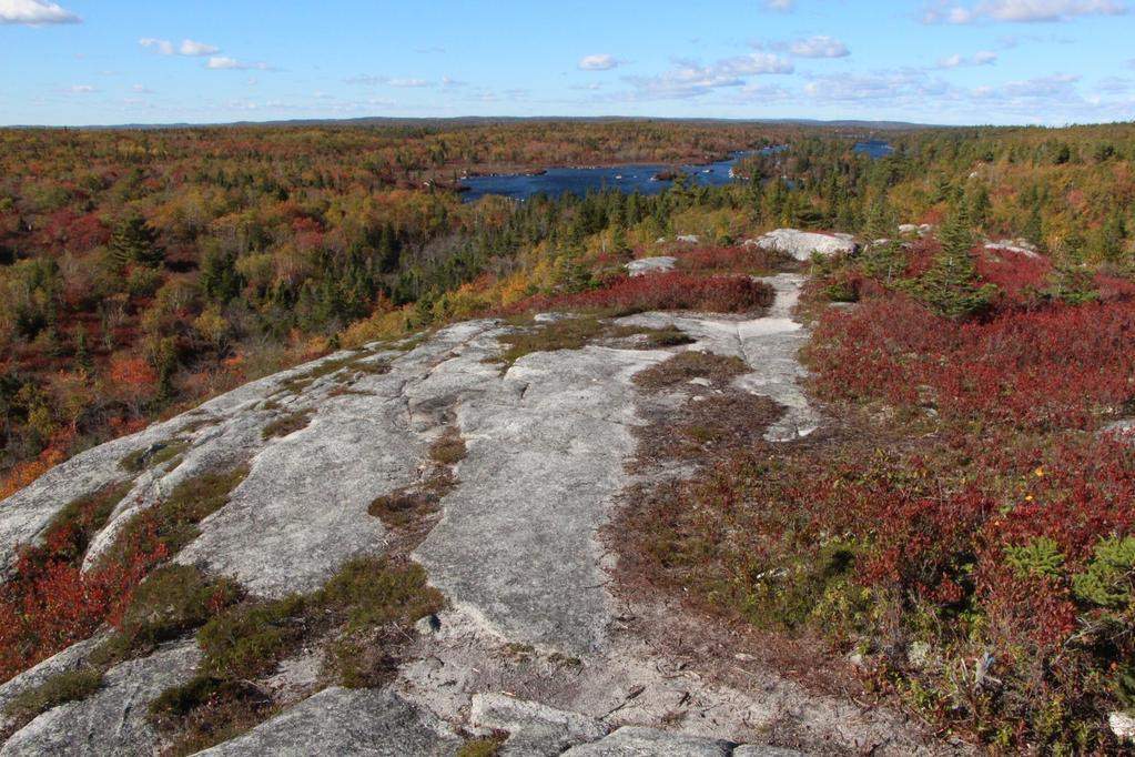 RCMP have located 2 hikers after they became lost on the Bluff Wilderness Hiking Trail.