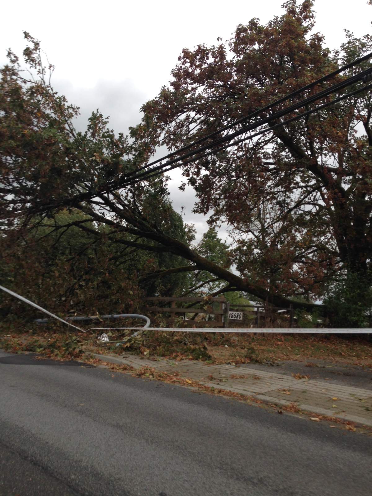 PHOTOS: Largest South Coast storm in a decade causes mass power outages - image