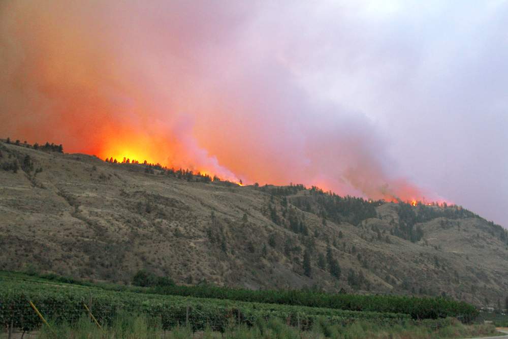 PHOTOS: A visual look at the last three days of fires in southern B.C. - image