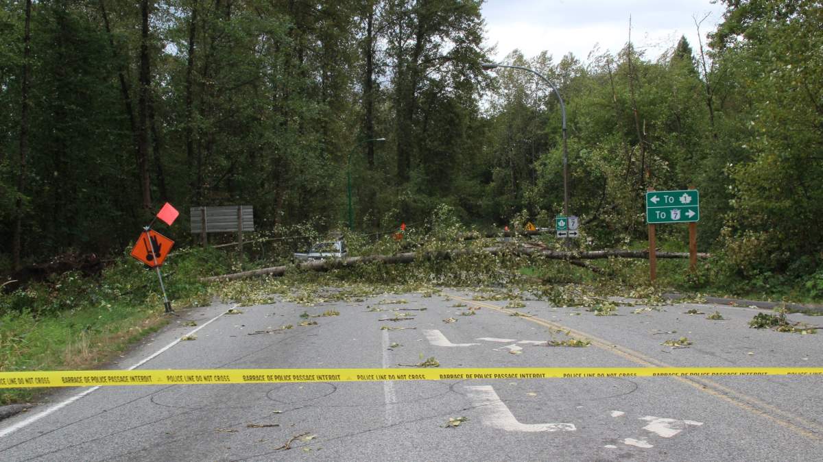 PHOTOS: Largest South Coast storm in a decade causes mass power outages - image