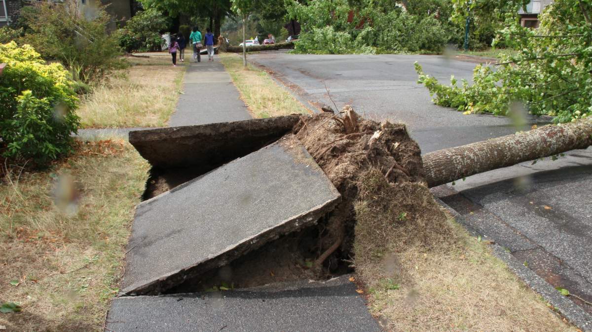 PHOTOS: Largest South Coast storm in a decade causes mass power outages - image