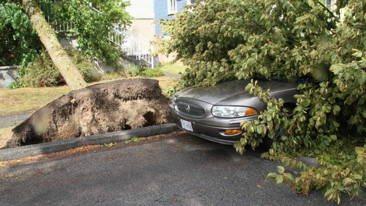PHOTOS: Largest South Coast storm in a decade causes mass power outages - image