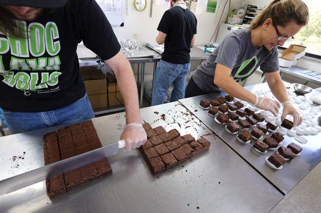 File photo. B.C. pot activist Dana Larsen is headed to Ottawa to address a federal health committee on edibles and other products ahead of next year's legalization of marijuana.