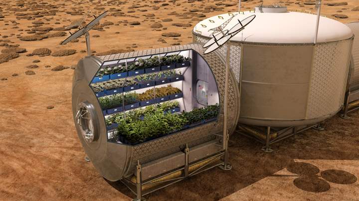 If we’re going to live on Mars one day, we’re going to have to find ways of growing our own food.
