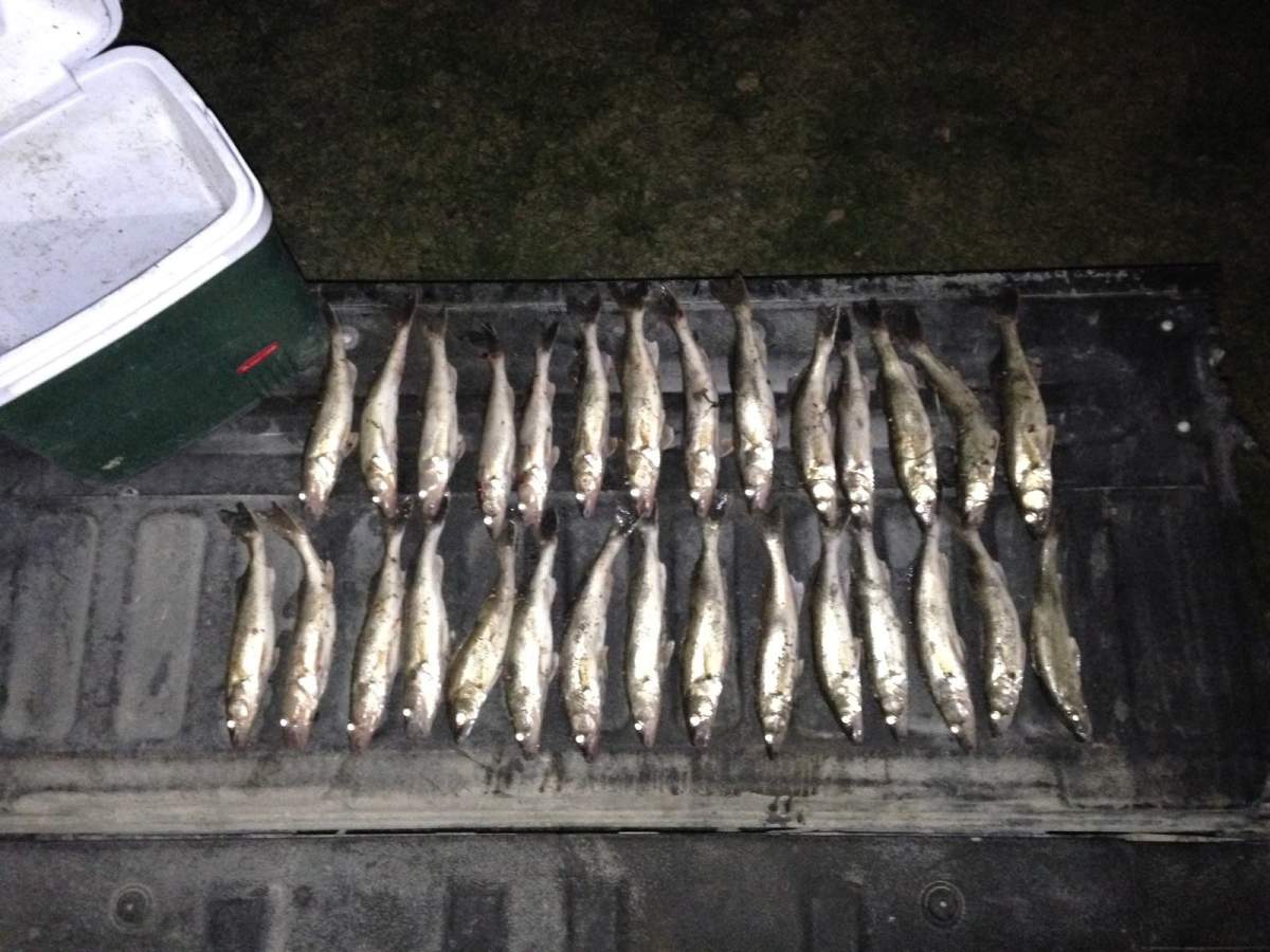 Man fined $727 after being caught with 25 more fish than his license allows.