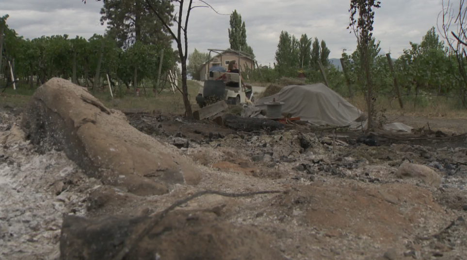 PHOTOS: A visual look at the last three days of fires in southern B.C. - image