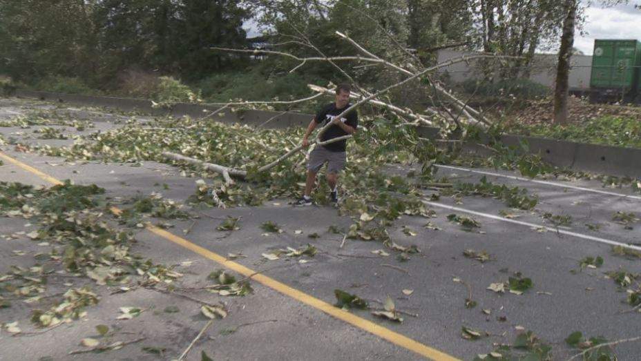 PHOTOS: Largest South Coast storm in a decade causes mass power outages - image