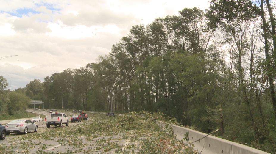 PHOTOS: Largest South Coast storm in a decade causes mass power outages - image