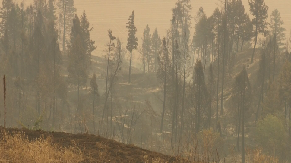 PHOTOS: A visual look at the last three days of fires in southern B.C. - image