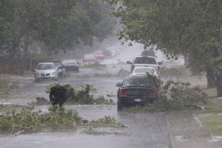 Storm trees down Calgary