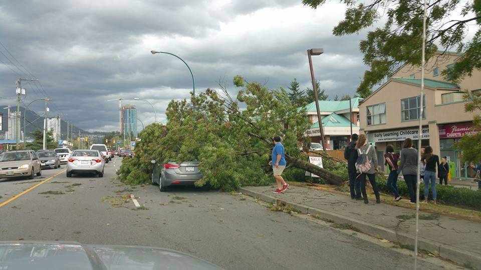 Courtesy Taalya Dancer – Port Coquitlam