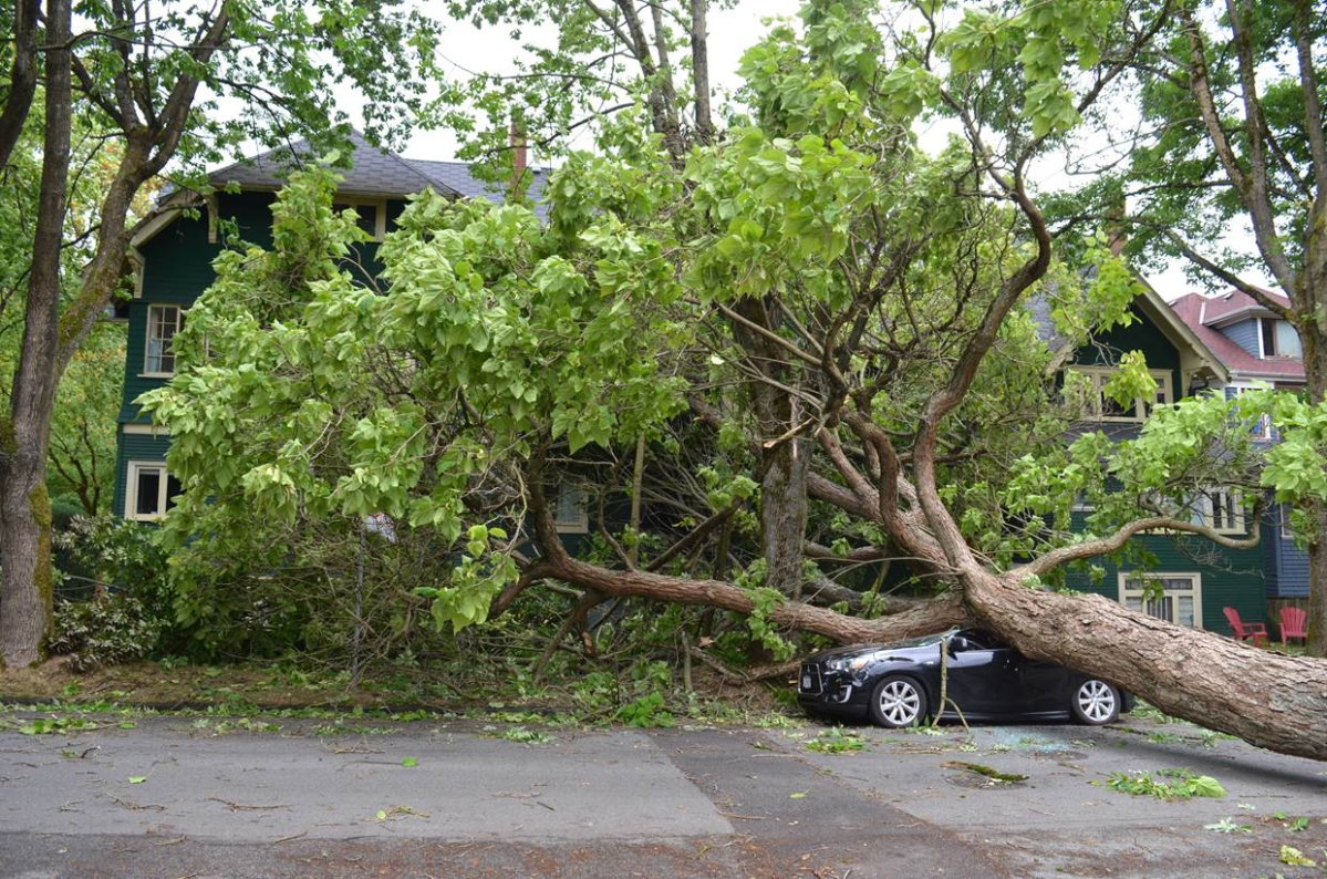 PHOTOS: Largest South Coast storm in a decade causes mass power outages - image