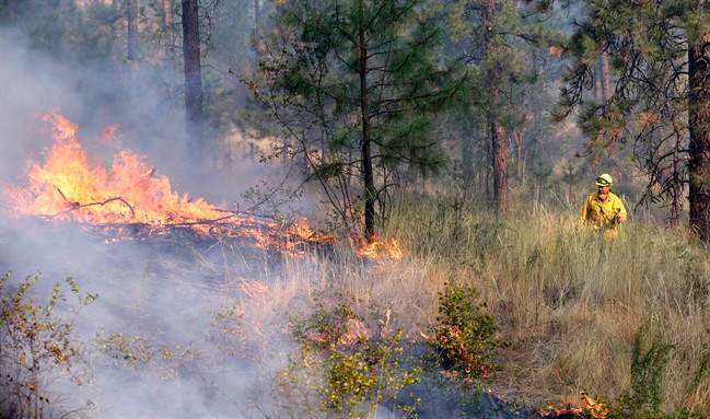 North Shore prepares as B.C. reaches 167 wildfires this year - image