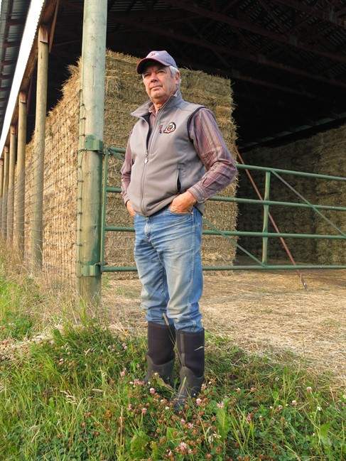 Bob Seaman, the president and CEO of Valley Hay and Cattle Ltd., stands in front of one of his hay sheds in Millarville, Alta., on Wednesday, August 26, 2015. Seaman is benefitting from a sharp spike in hay prices because of the Western Canadian drought.