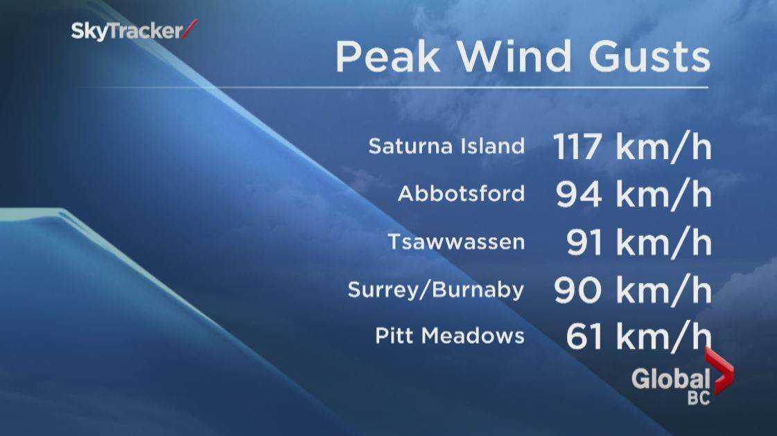 PHOTOS: Largest South Coast storm in a decade causes mass power outages - image