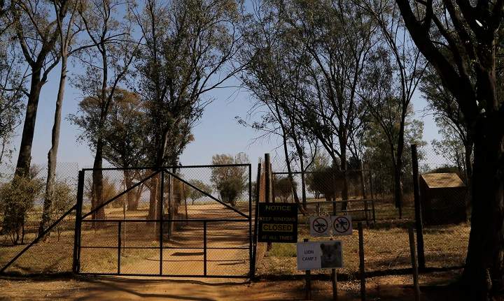 A general view of an enclosure of the Lion Park, in Johannesburg, South Africa, Tuesday, June 2, 2015. (AP Photo/Themba Hadebe).