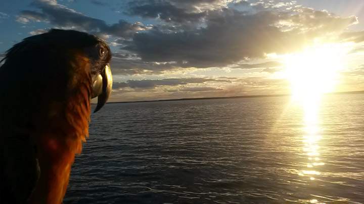 Sept. 11: Angela Schafer took this Your Saskatchewan photo at Lac La Ronge.