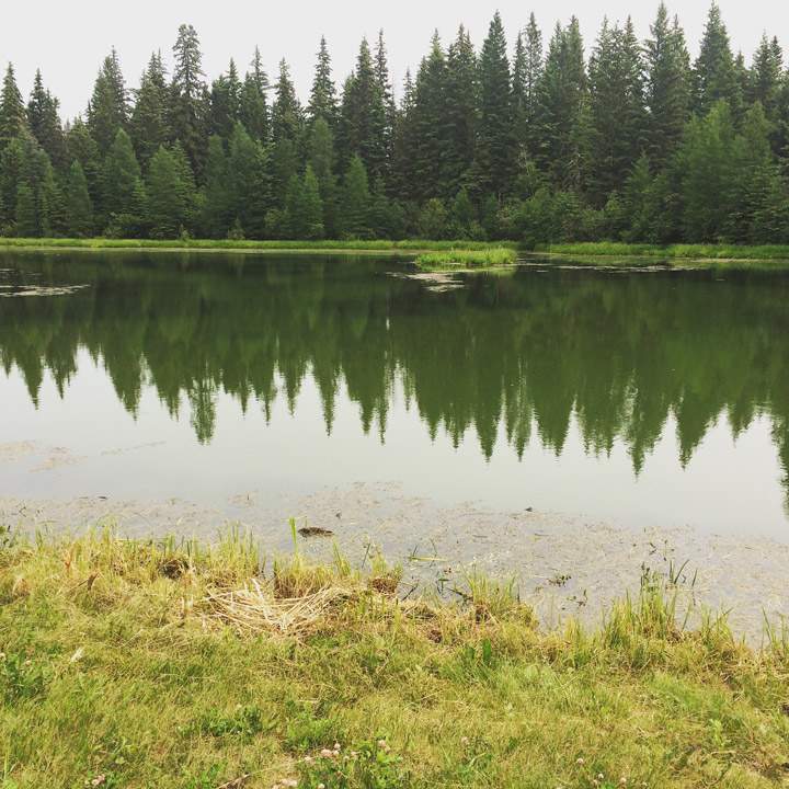 Sept. 14: This Your Saskatchewan photo was taken by Shyla Unruh at Brightsand Lake Trout Pond.