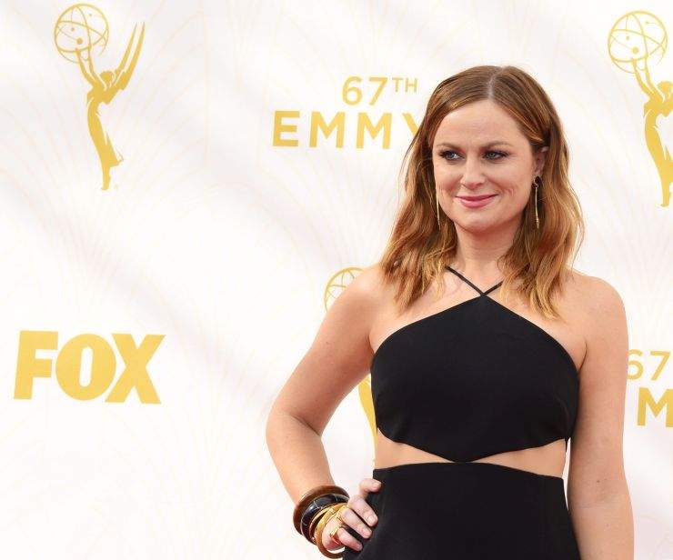 Amy Poehler arrives for the 67th annual Primetime Emmy Awards held at the Microsoft Theater in Los Angeles, California, USA, 20 September 2015.