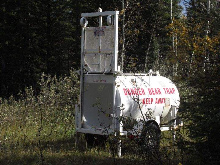 Bear trap Alberta