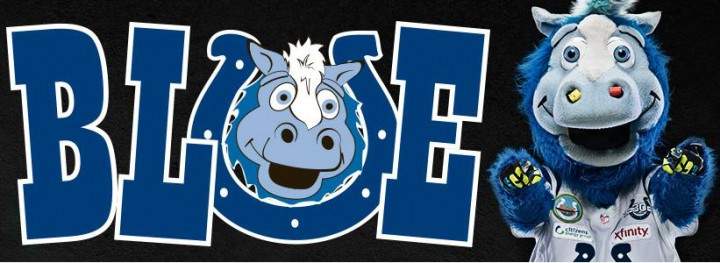Blue, the mascot for the Indianapolis Colts.