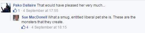 More politicians, officials criticized for questionable social media use - image