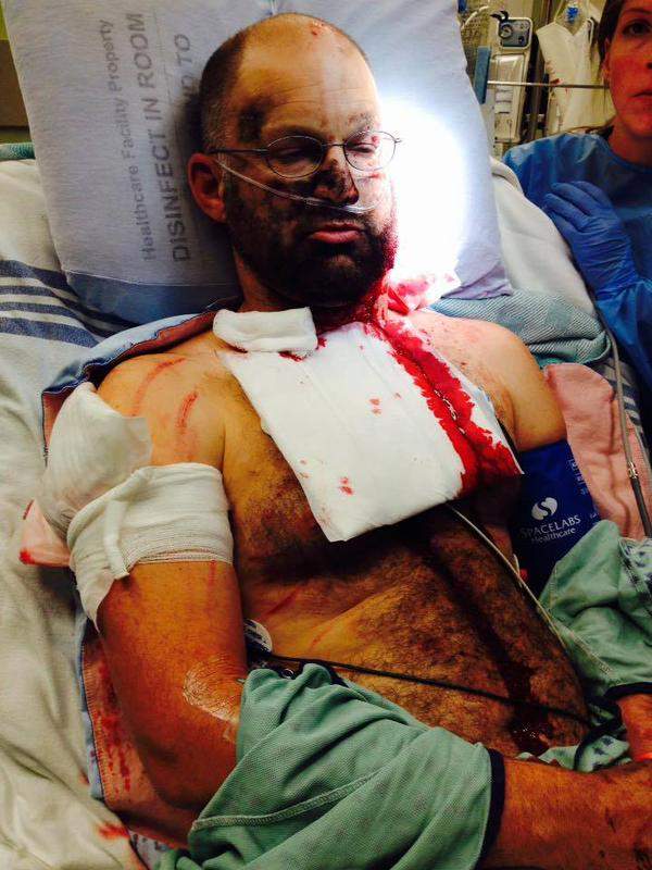 Hunter attacked by mother grizzly bear east of Cranbrook - image