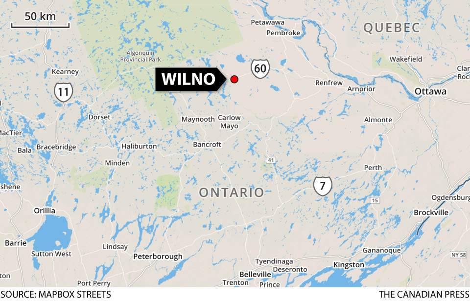 Ontario police investigating 3 homicides after shooting in Wilno, Ont. - image