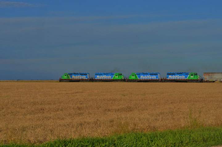 September 26: This Your Saskatchewan photo was taken by Anne de Zeeuw near Delisle.