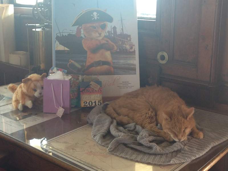 Erik the Red is retiring after 17 years of being the mouser aboard the CSS Acadia on Sept. 20, 2015. 
