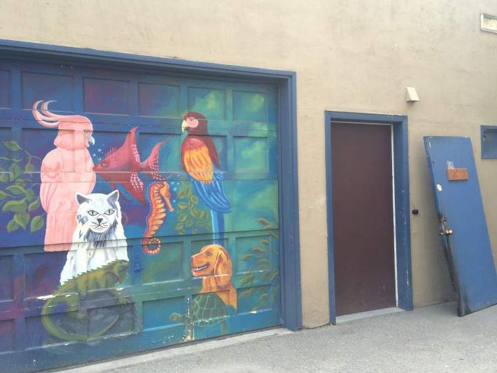 The Vernon Fire Department says RCMP are investigating a fire in the alley behind a Vernon pet shop.