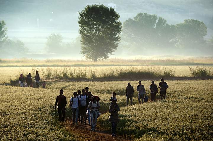 Migrants walk through a field to cross the border from Greece to Macedonia near the Greek village of Idomeni on August 29, 2015.