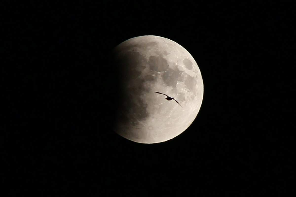 super moon
