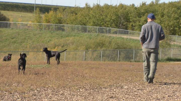 According to new numbers from Amazon.ca, the most pampered pets live in Saskatchewan particularly dogs.