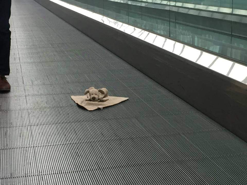 Toronto airport staff document lost teddy bear’s trek home - image