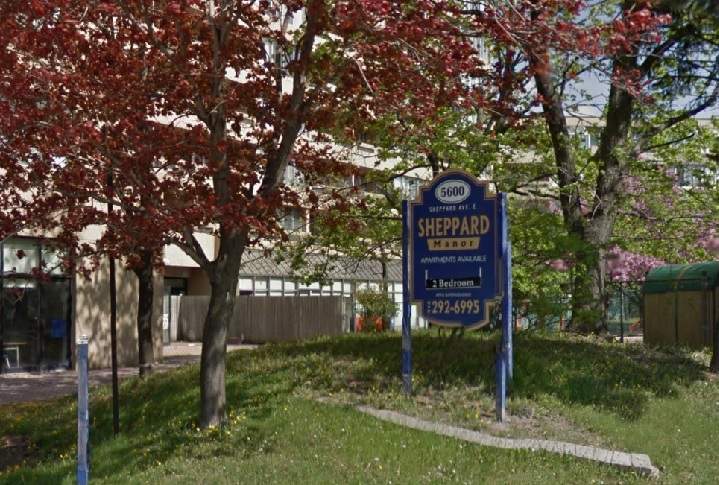 A dog was killed after it was thrown off an apartment balcony at 5600 Sheppard Ave. E. in Toronto.
