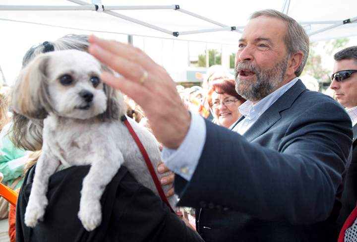 NDP Leader Tom Mulcair pets a supporter’s dog during a federal election campaign stop in Vernon, B.C. Tuesday, Sept, 1 2015. THE CANADIAN PRESS/Jonathan Hayward