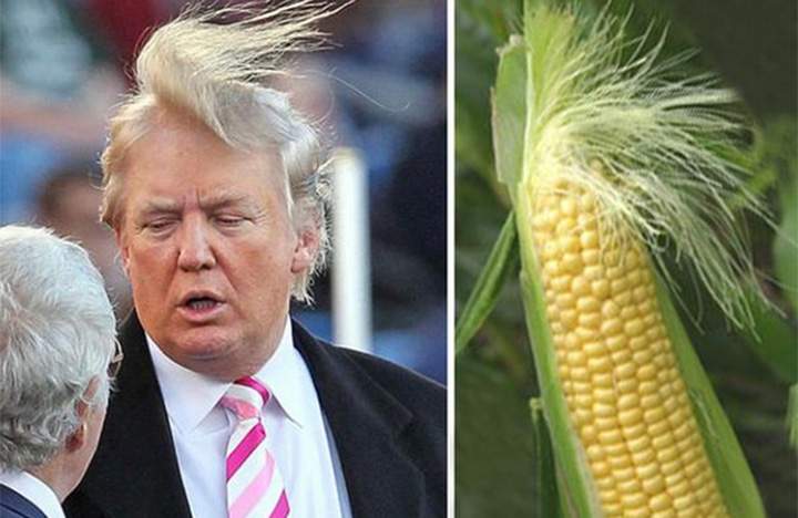 Republican presidential candidate Donald Trump took to Twitter Monday to host a question and answer session, and it appears it didn’t go so well.