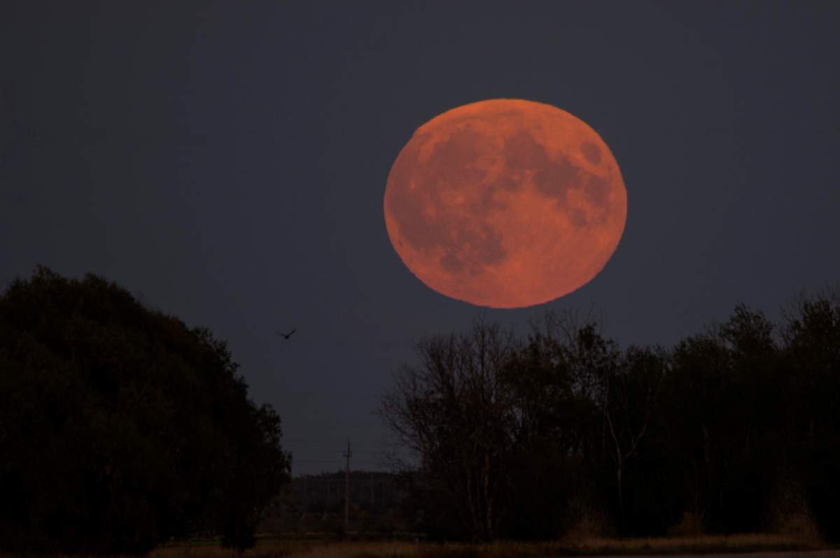 super moon