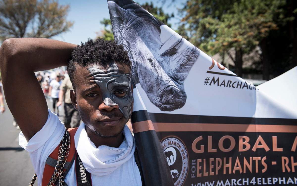 Protesters take part in a march in Johannesburg, South Africa, Saturday, Oct. 3, 2015, against the hunting of lions, rhinos and elephants. 
