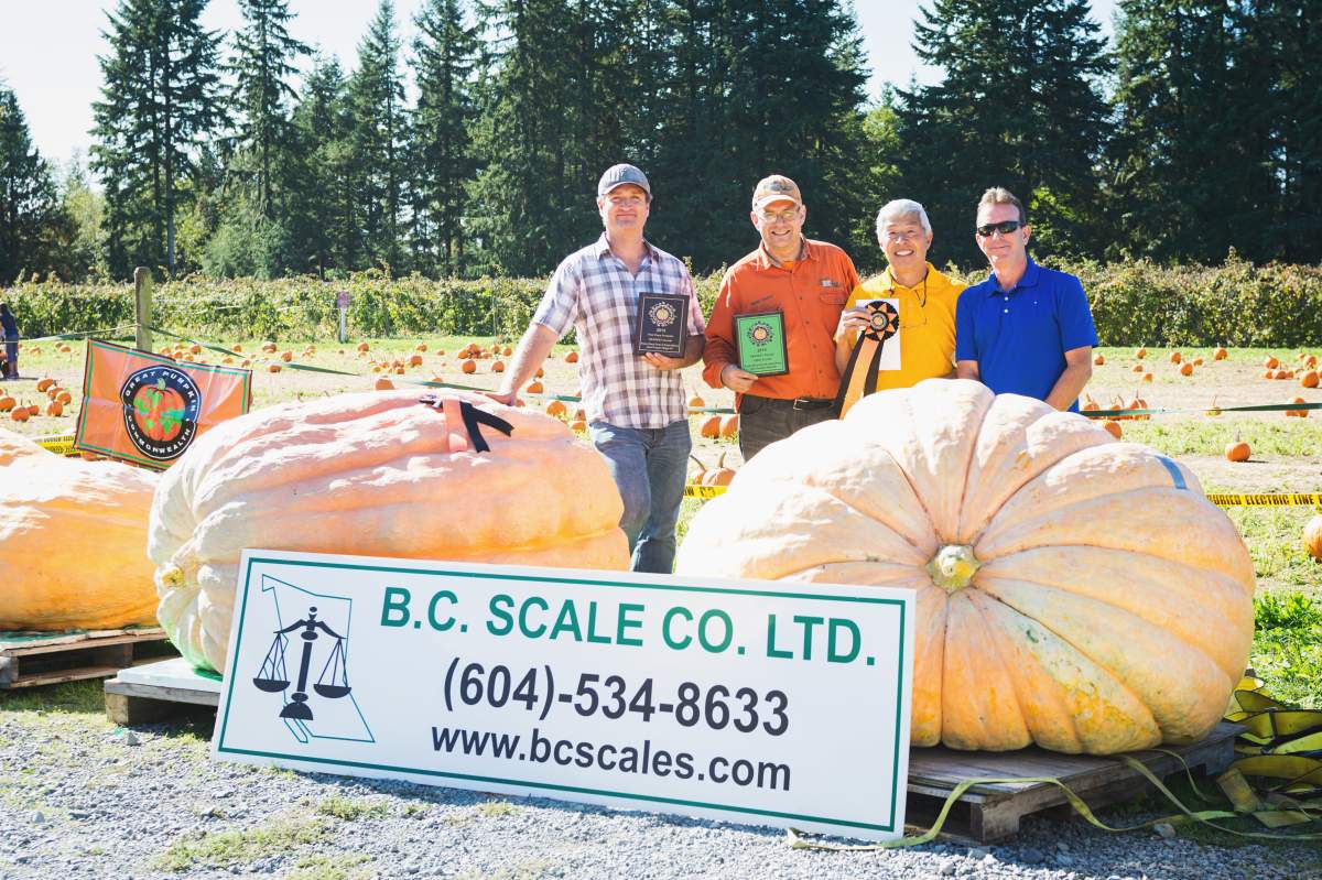 We asked Carley, who operates a website called Giant Pumpkins B.C., to give the lowdown on the world of giant pumpkins.