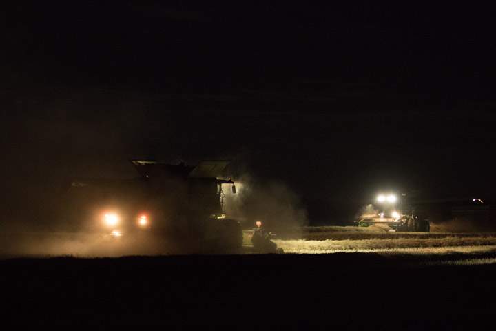 Oct. 2: Dale Boan took this Your Saskatchewan photo near Waldheim.