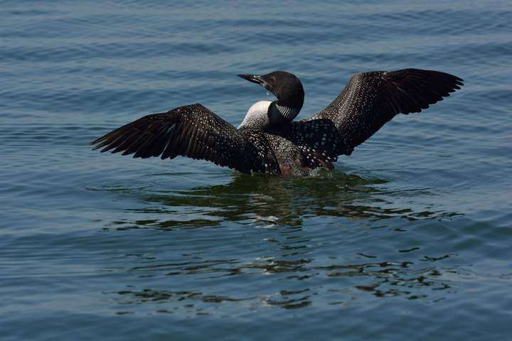 Oct. 4: Bob Green took this Your Saskatchewan photo at Waterhen Lake.