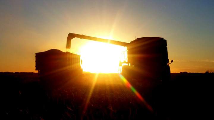 Oct. 8: Steph Lynch took this Your Saskatchewan photo near Jansen.
