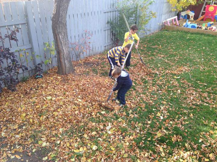 Oct. 16: This Your Saskatchewan photo of lawn raking was taken in Kindersley by Michelle Allin.